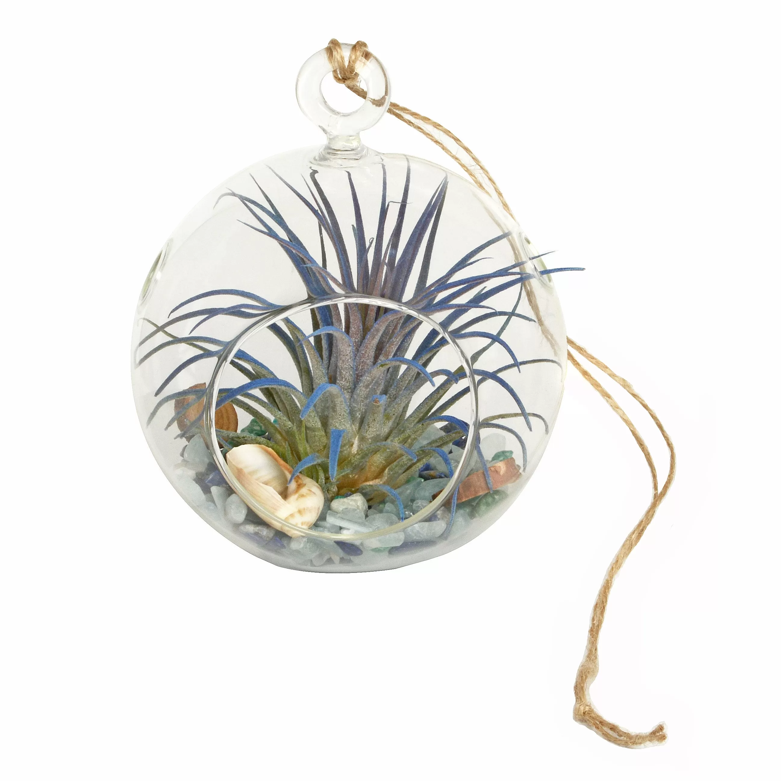 4 Seaside Dreams Bubble Terrarium