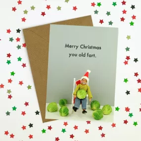  Christmas Fart  Greeting Card