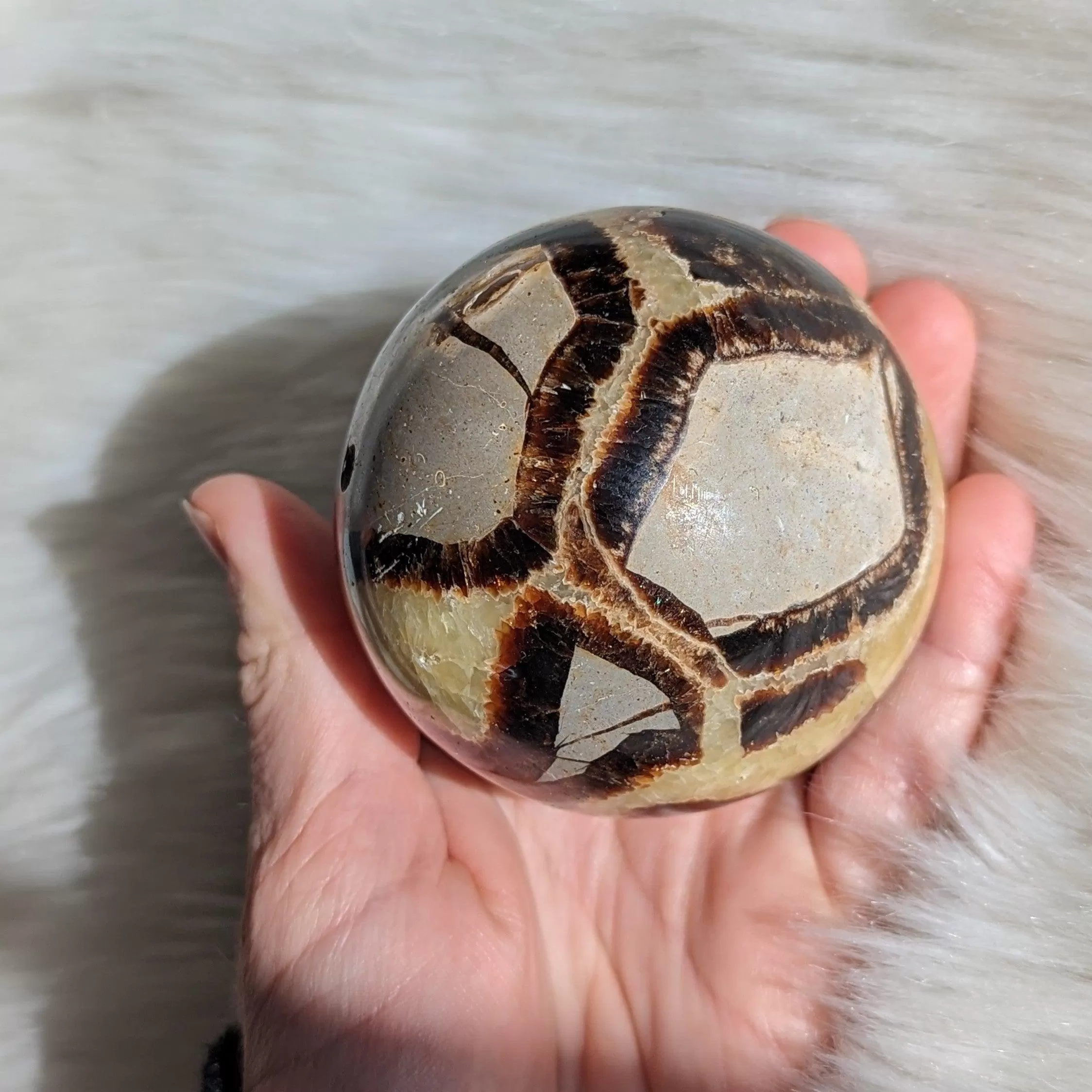 Historic Vibes ~ Large Septarian Gemstone Sphere