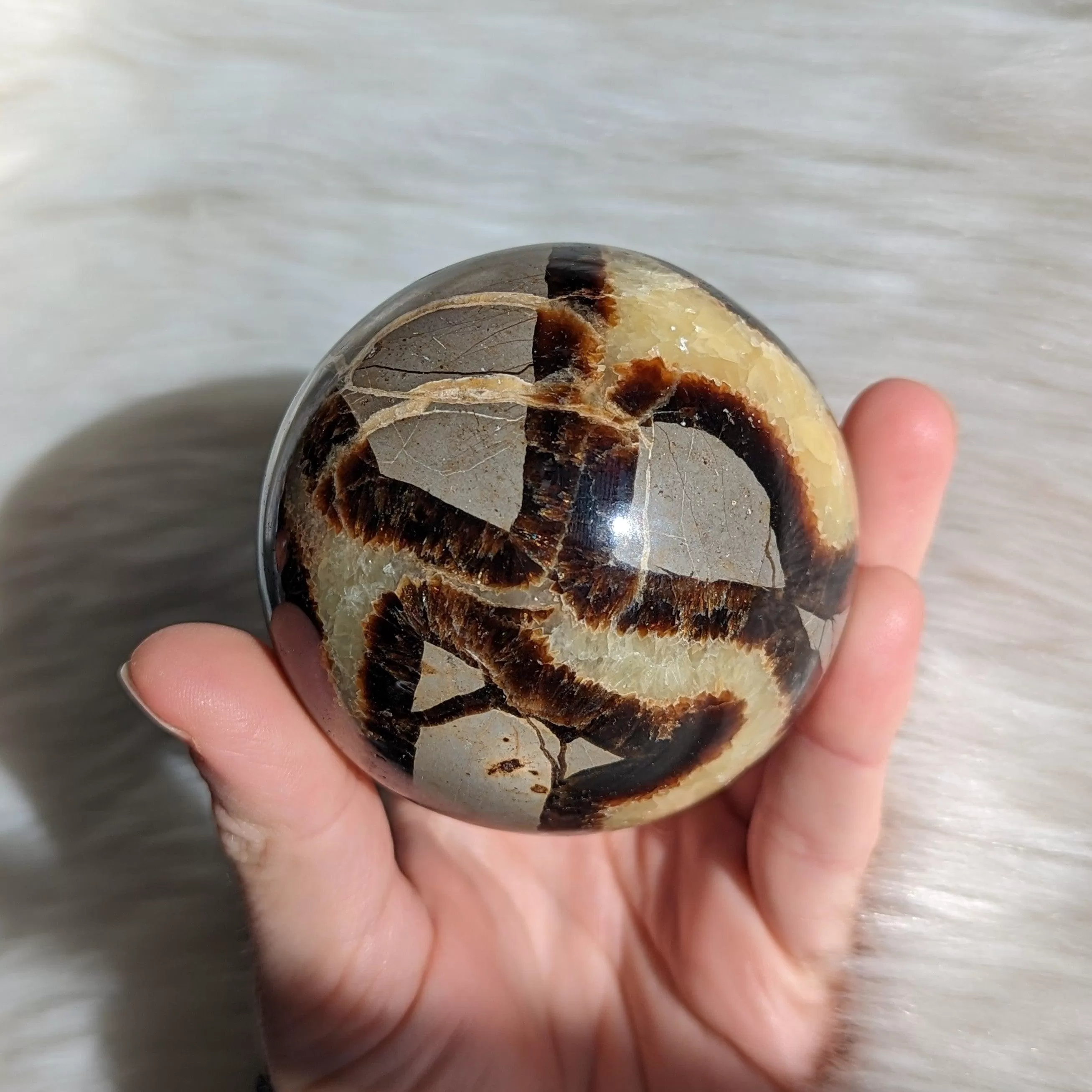 Historic Vibes ~ Large Septarian Gemstone Sphere