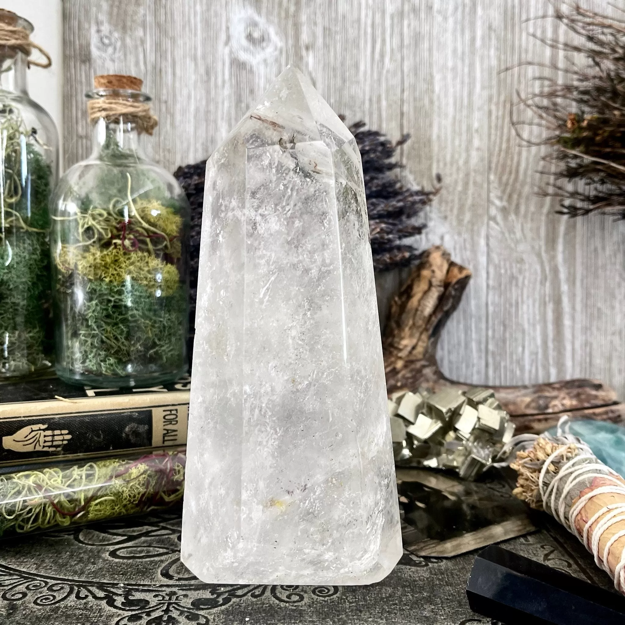 Large Self Standing Clear Quartz Crystal Point / FoxlarkCrystals