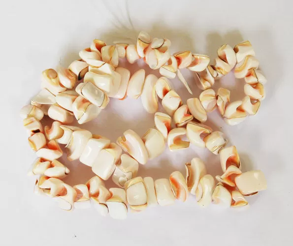 Mosaic Luhuanus Shell Beads