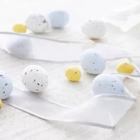 Robin Truffle Egg Box (6pc) (SALE)