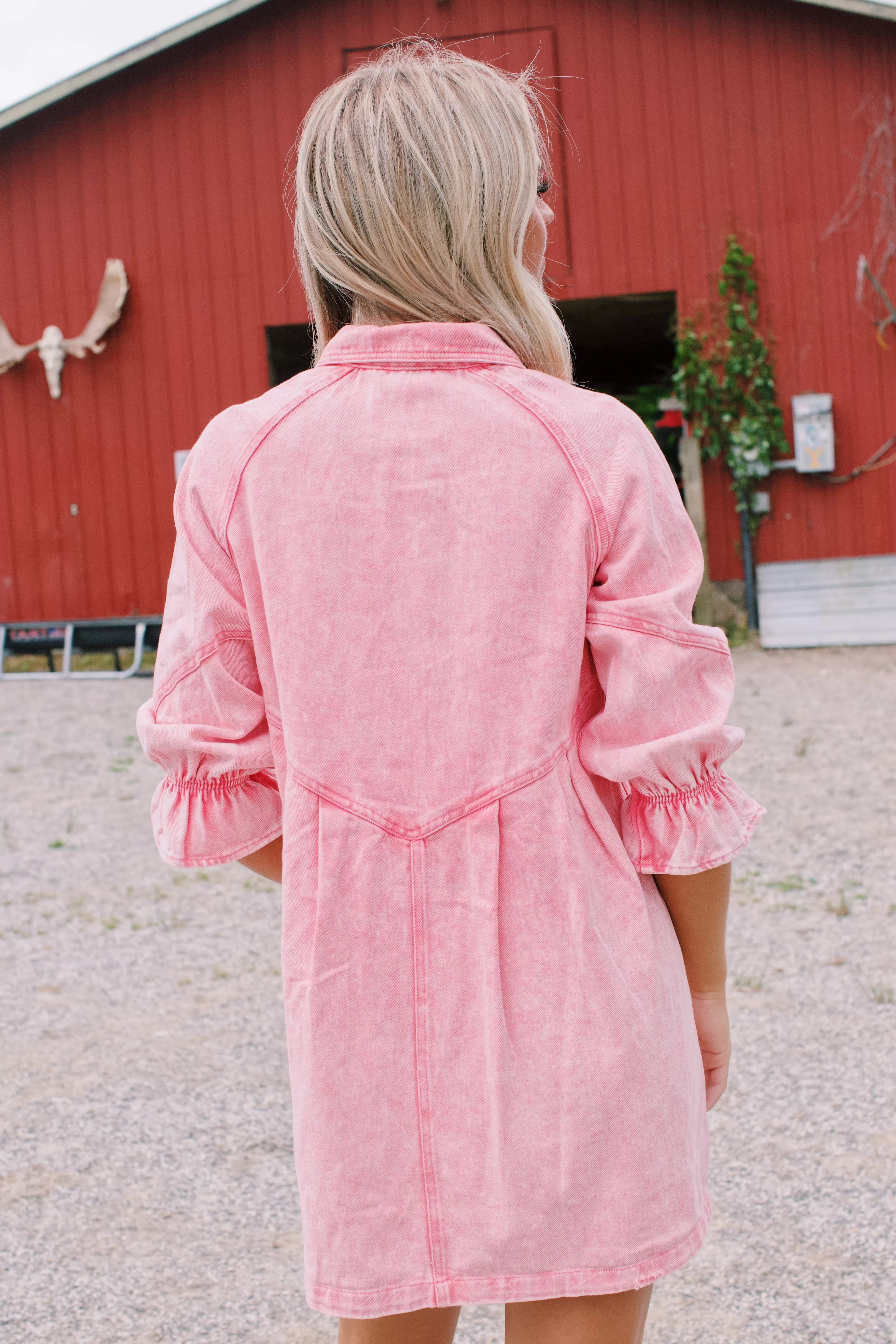 Winona Washed Denim Dress, Hot Pink